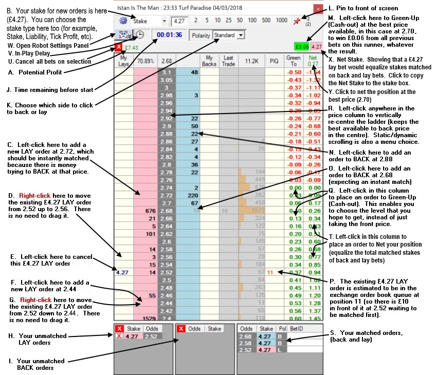 Ladder Interface with screenshots and explanation of how to use it