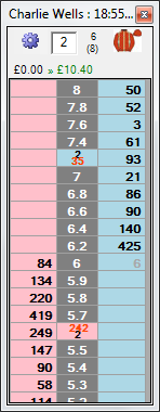 Customising the Ladder Interface for a minimal width layout.